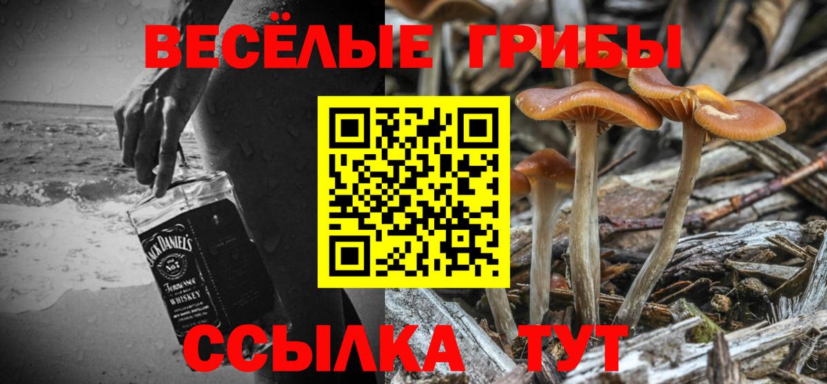Псилоцибиновые грибы прущие грибы  Вход с VPN  купить наркотики сайты  Ливны 