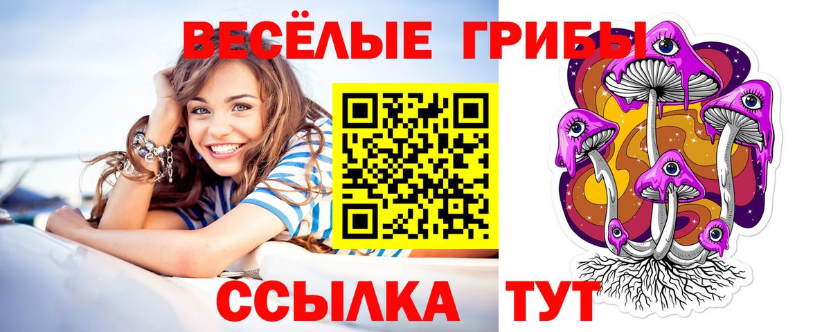 Галлюциногенные грибы мицелий Ливны